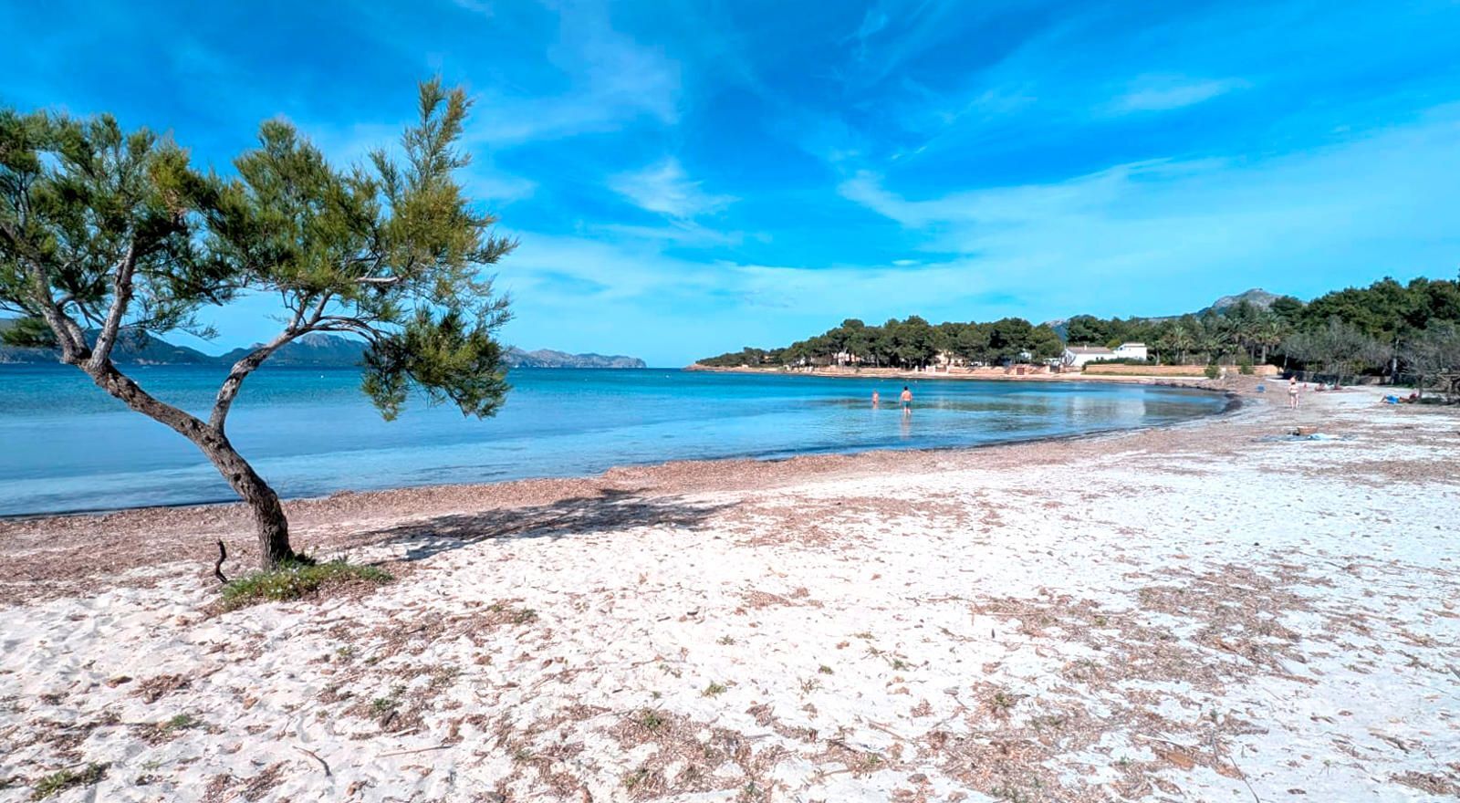 Casas o chalets-Venta-AlcÃºdia-1827899-Foto-23