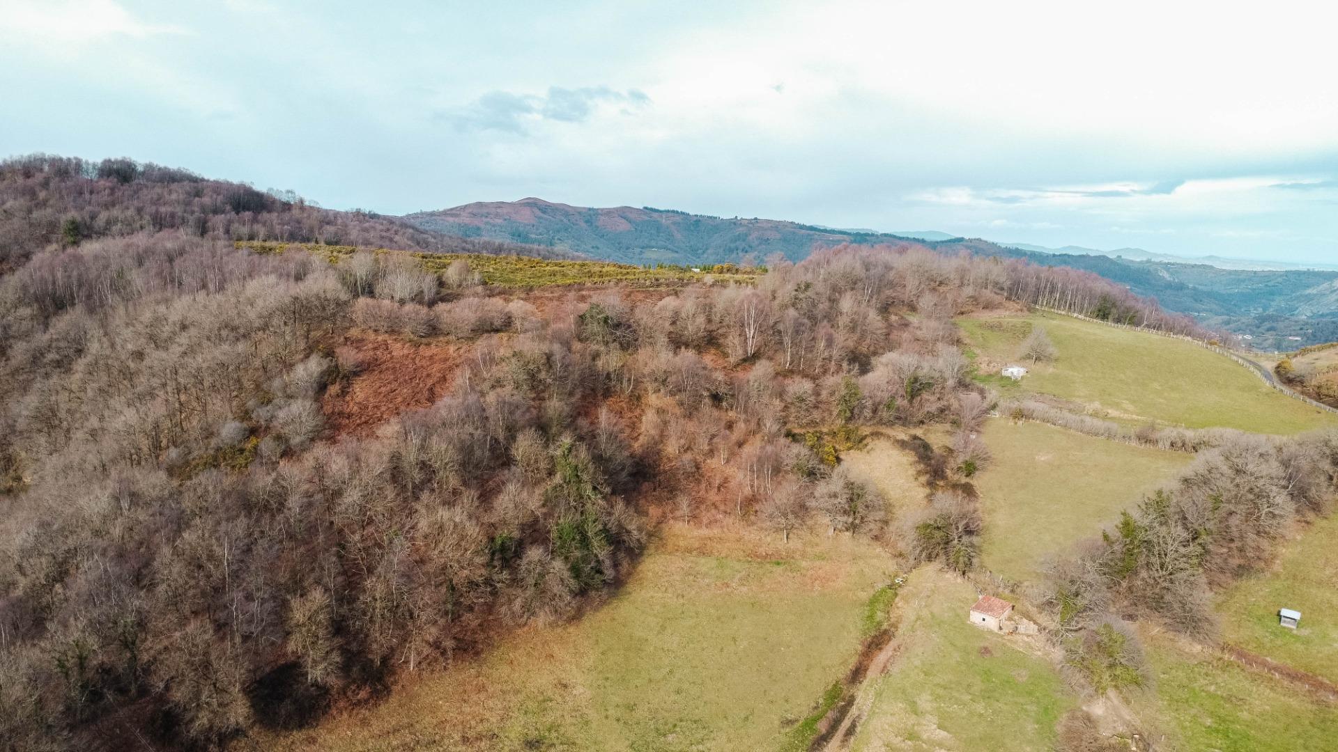 Casas o chalets-Venta-Mieres-2091341-Foto-32