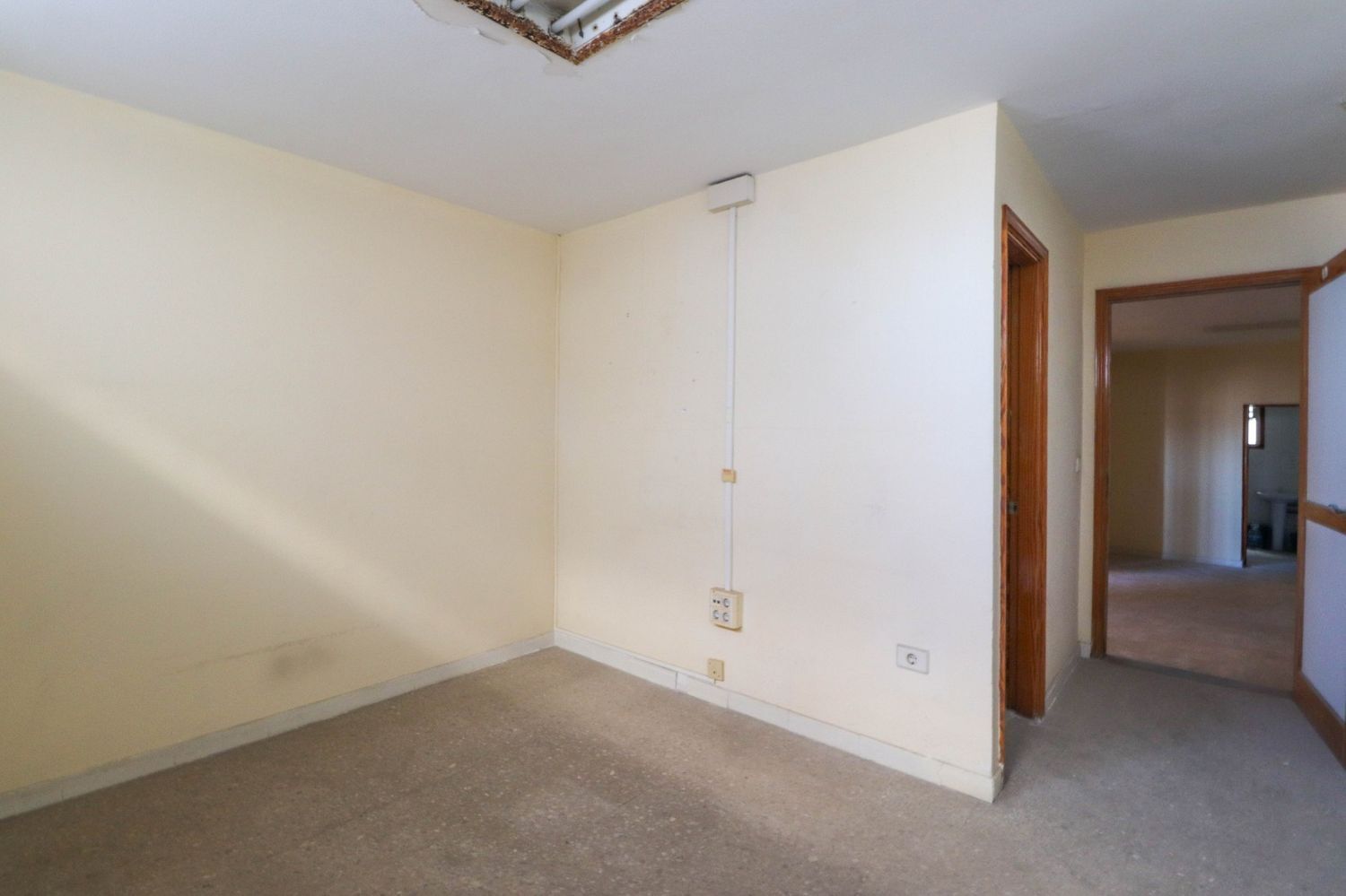 Locales-Venta-Las Palmas de Gran Canaria-2091791-Foto-22