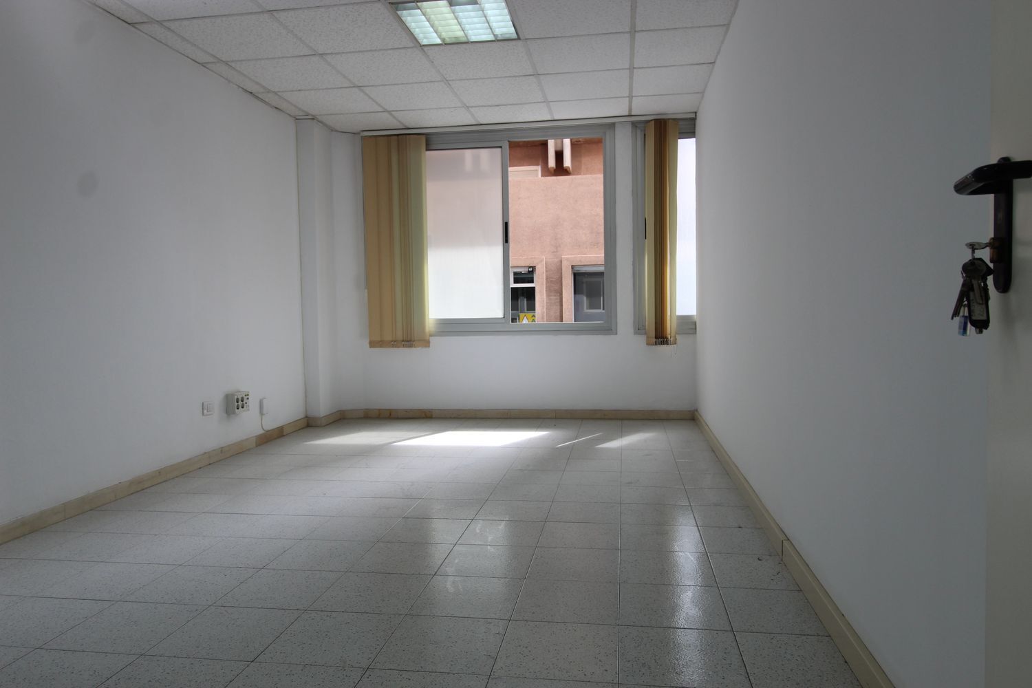 Oficinas-Alquiler-Las Palmas de Gran Canaria-925264-Foto-3