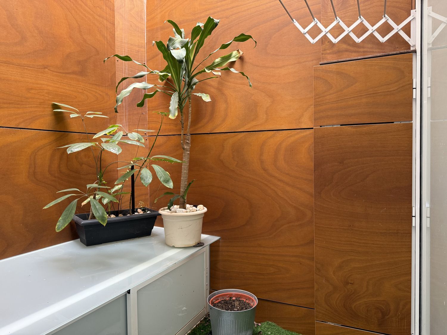 Pisos-Venta-Las Palmas de Gran Canaria-2177647-Foto-10