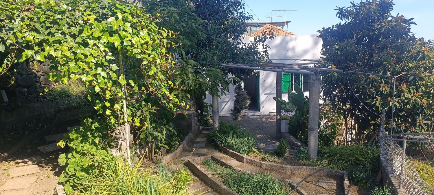 Casas o chalets-Venta-2091821