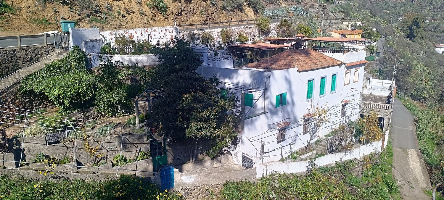 Casas o chalets-Venta-Vega de San Mateo-2091821-Foto-17