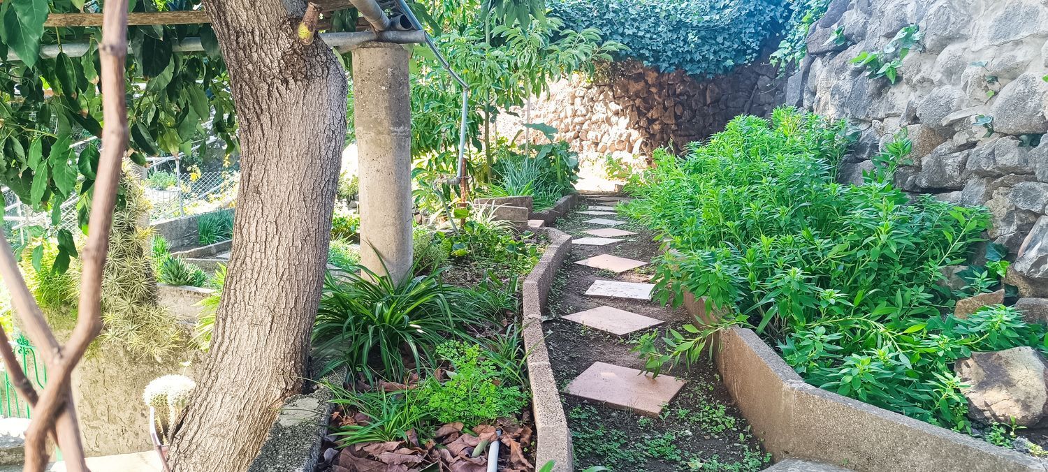 Casas o chalets-Venta-Vega de San Mateo-2091821-Foto-20