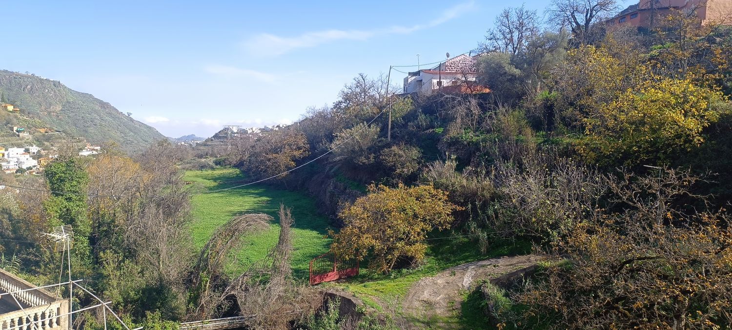 Casas o chalets-Venta-Vega de San Mateo-2091821-Foto-28