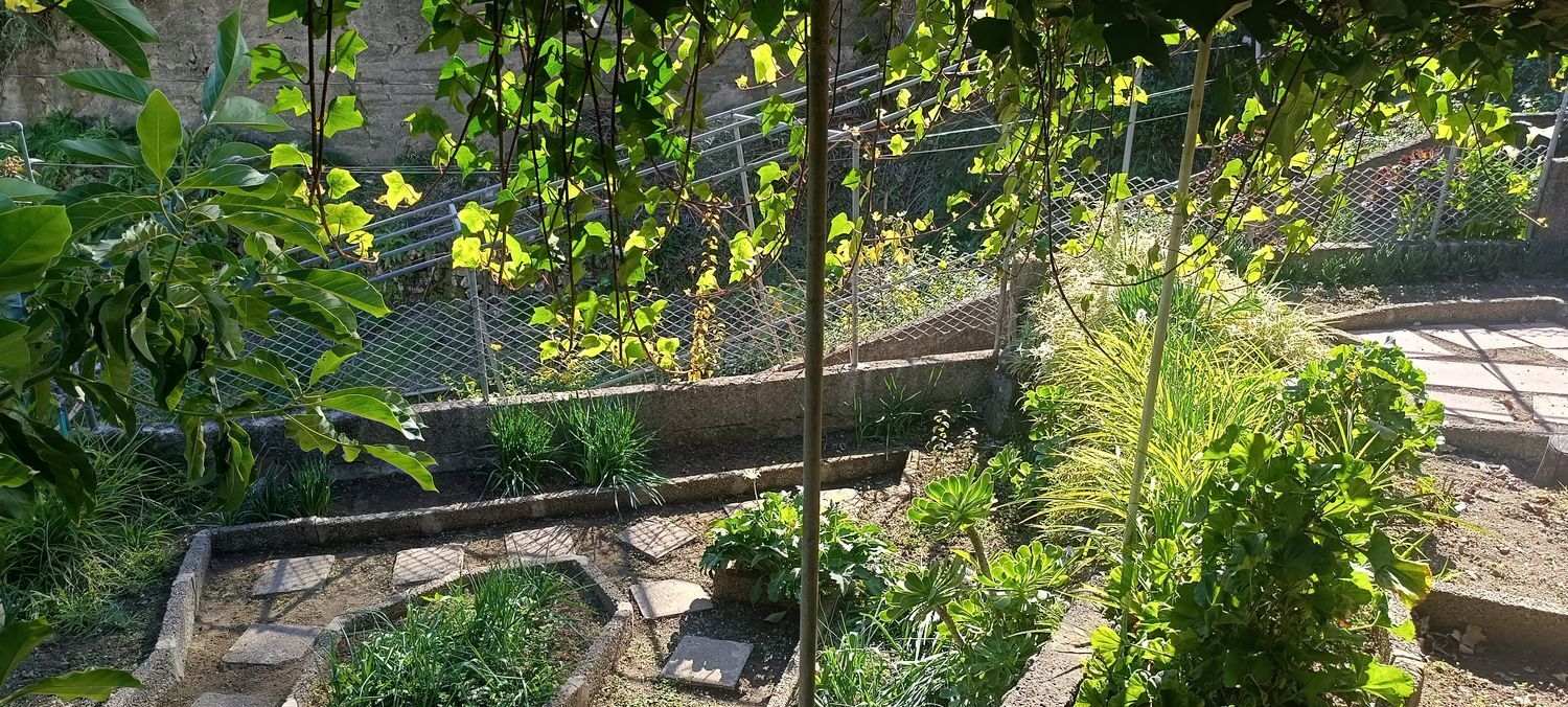 Casas o chalets-Venta-Vega de San Mateo-2091821-Foto-21