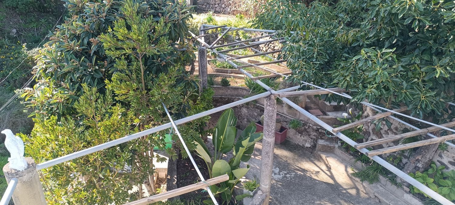 Casas o chalets-Venta-Vega de San Mateo-2091821-Foto-25