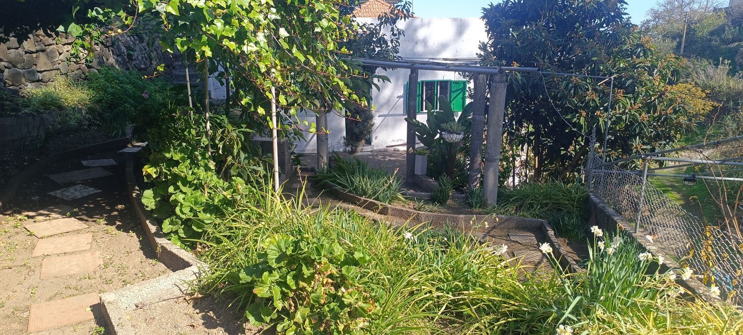 Casas o chalets-Venta-Vega de San Mateo-2091821-Foto-23