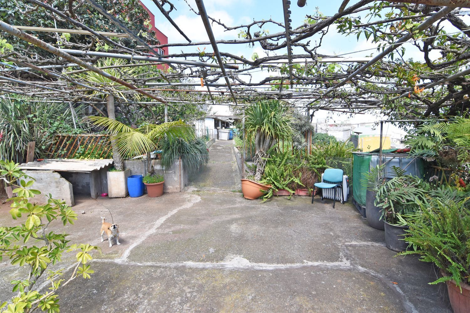 Casas o chalets-Venta-Firgas-1710404-Foto-59