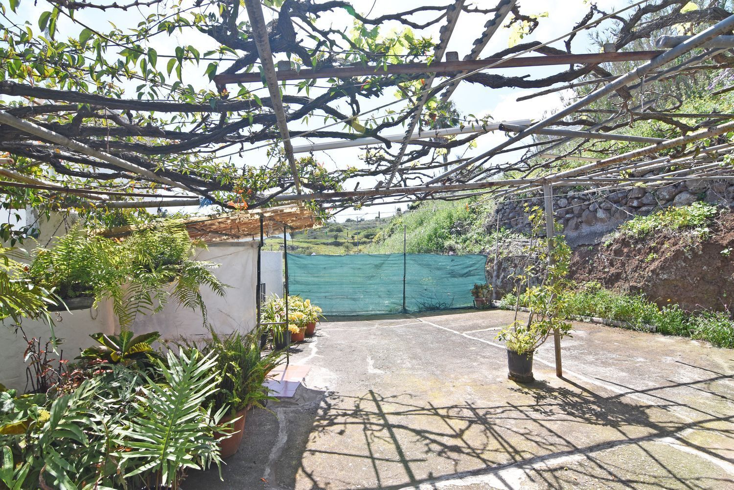 Casas o chalets-Venta-Firgas-1710404-Foto-60