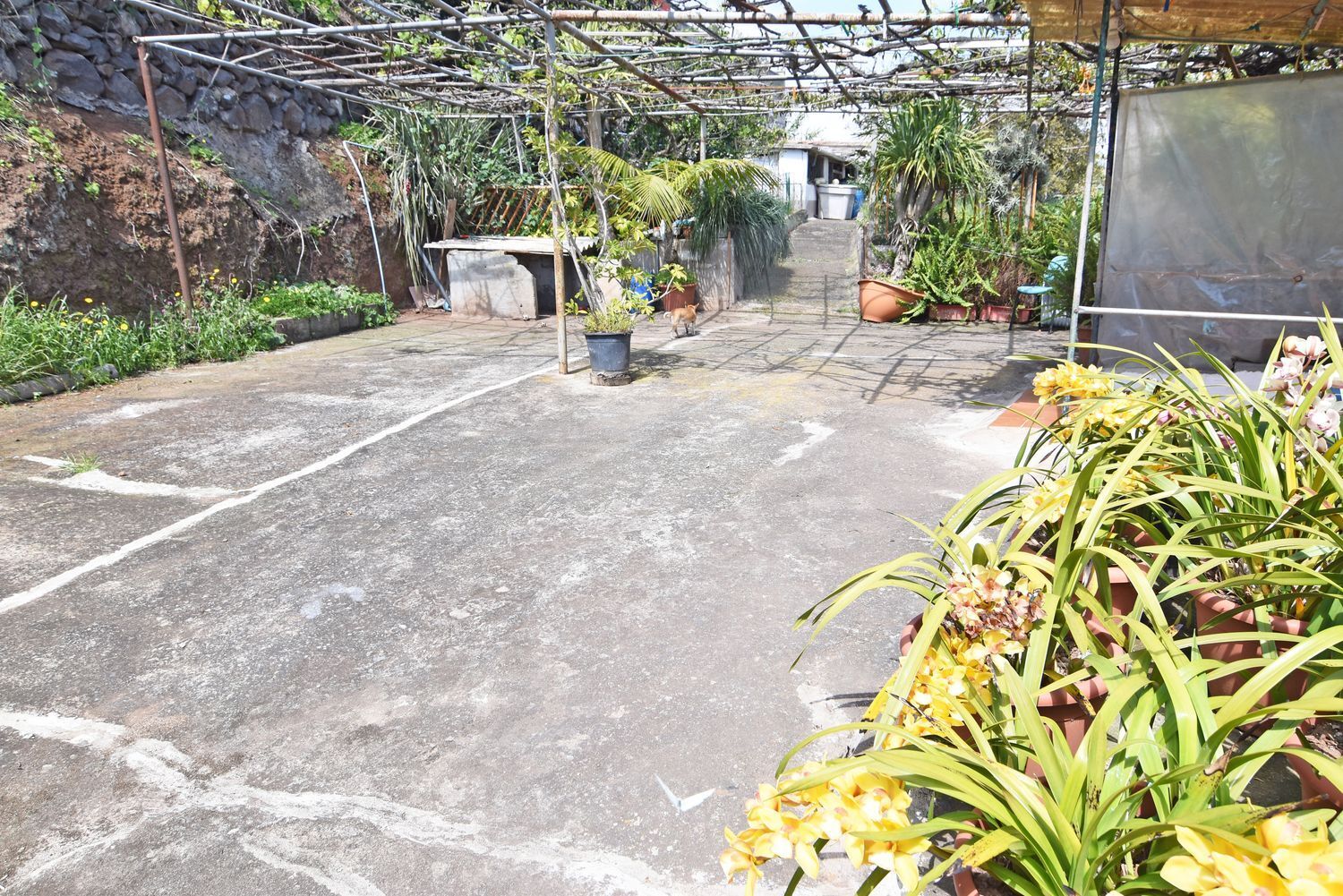 Casas o chalets-Venta-Firgas-1710404-Foto-63