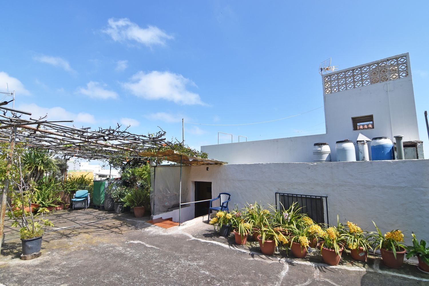 Casas o chalets-Venta-Firgas-1710404-Foto-62