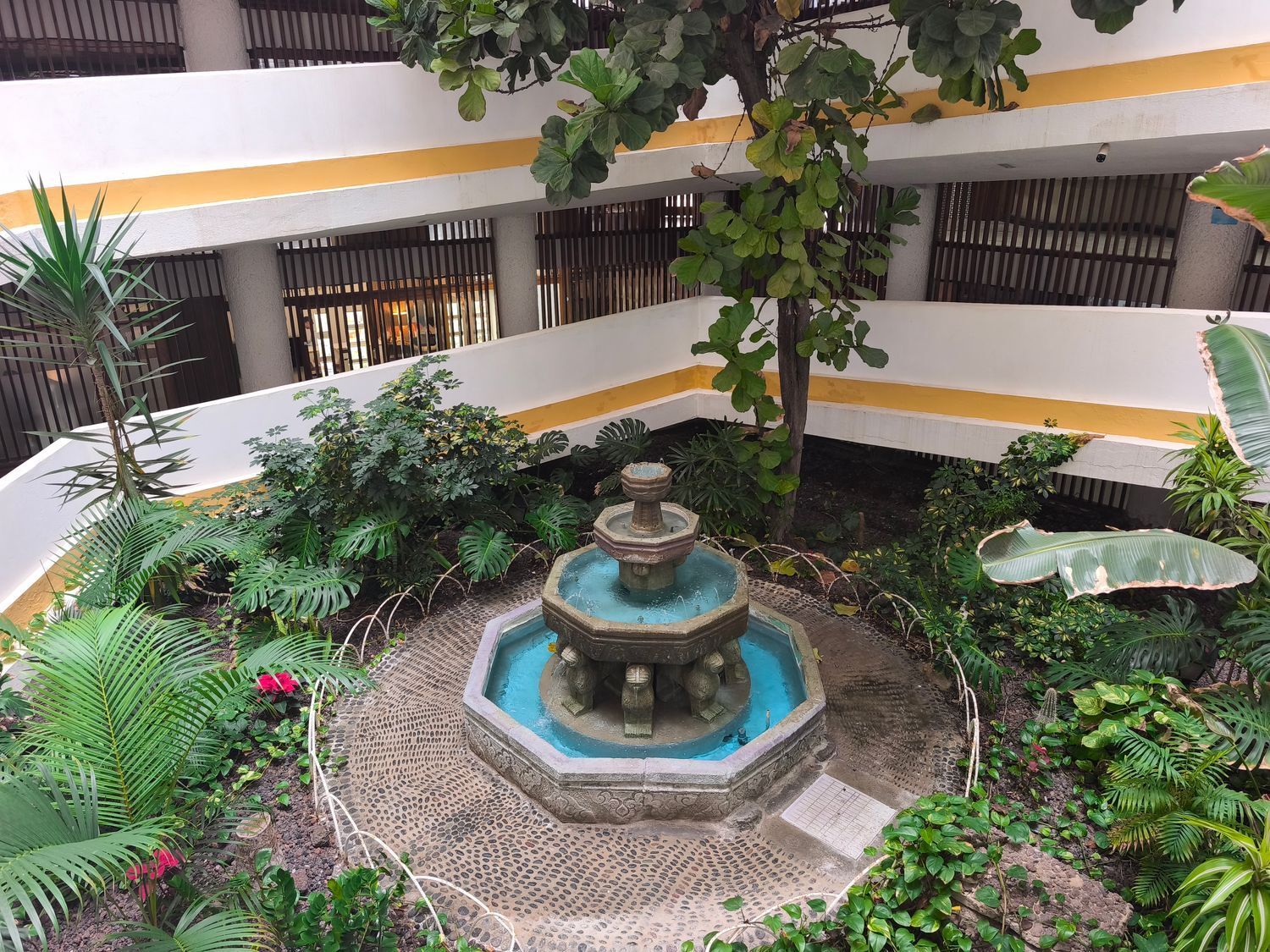 Pisos-Venta-San BartolomÃ© de Tirajana-2090727-Foto-38