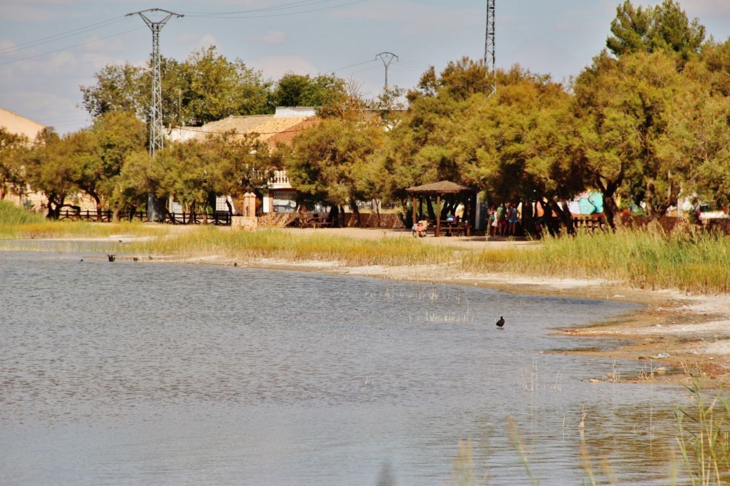 Pisos-Venta-Villafranca de los Caballeros-1021009-Foto-8