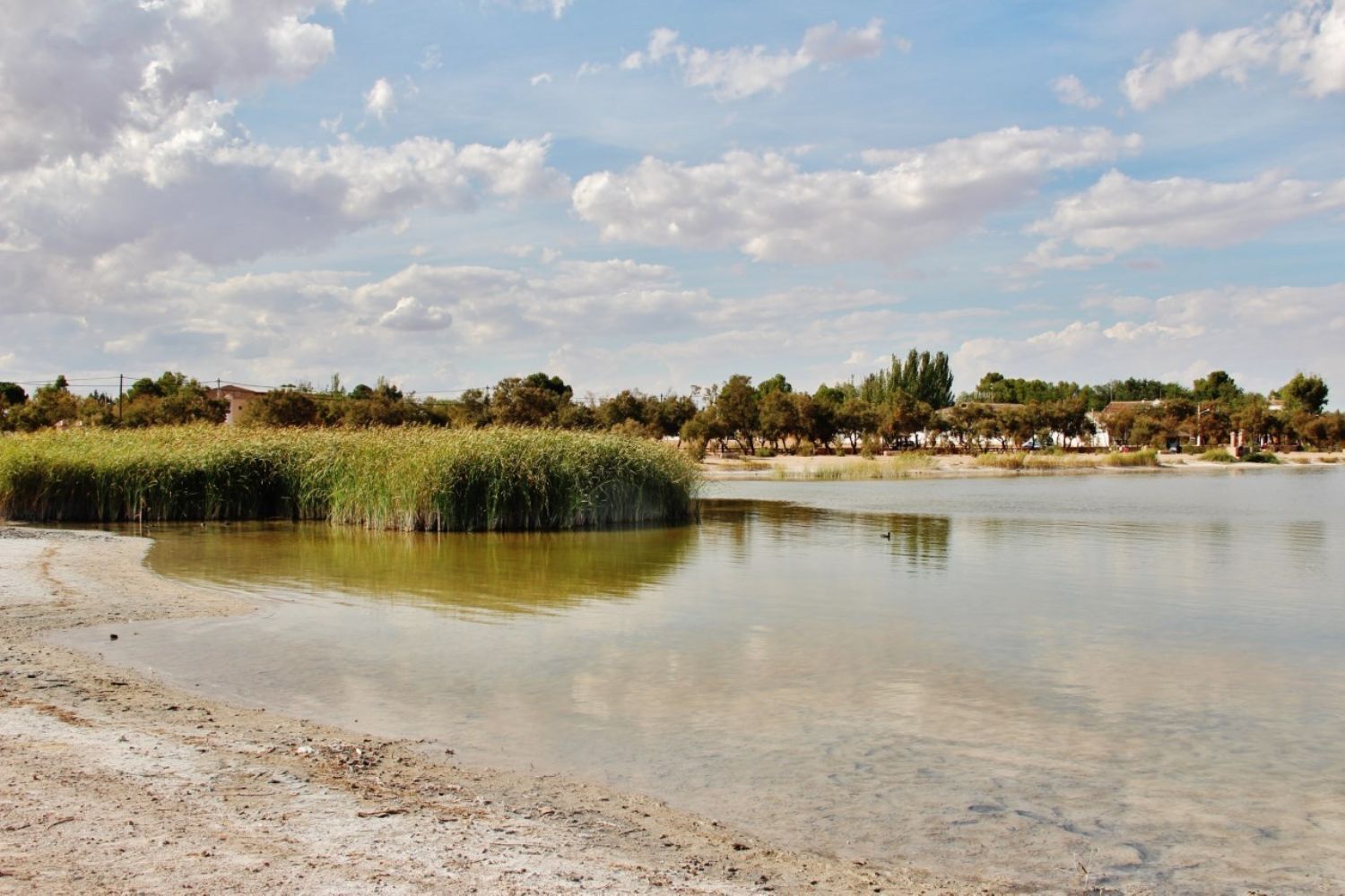 Pisos-Venta-Villafranca de los Caballeros-1021009-Foto-14