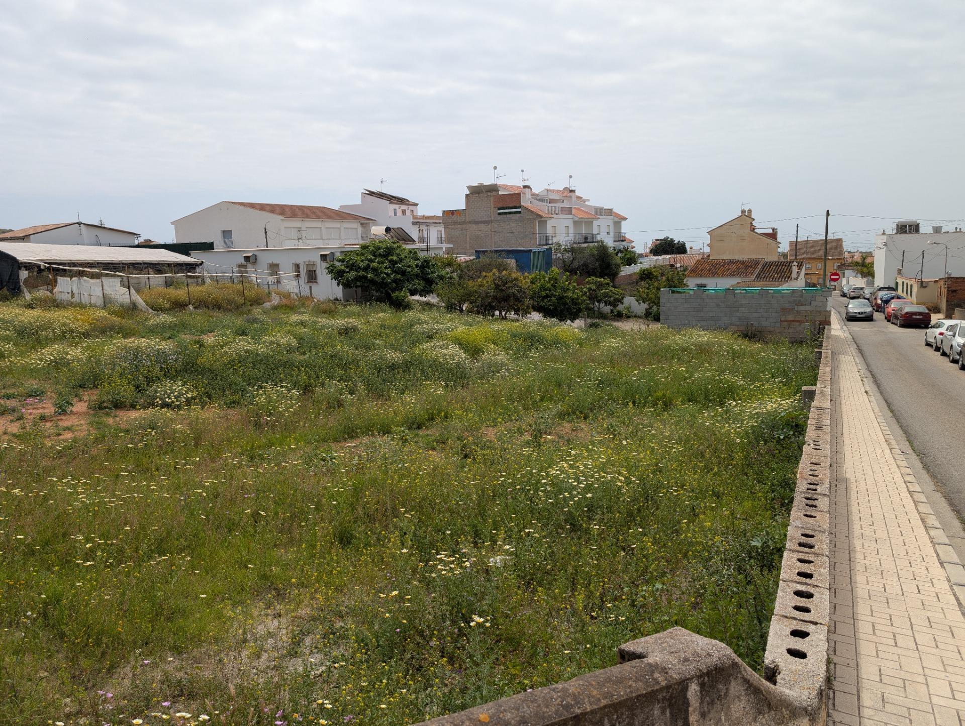 Fincas y solares-Venta-Almayate-2091857-Foto-2