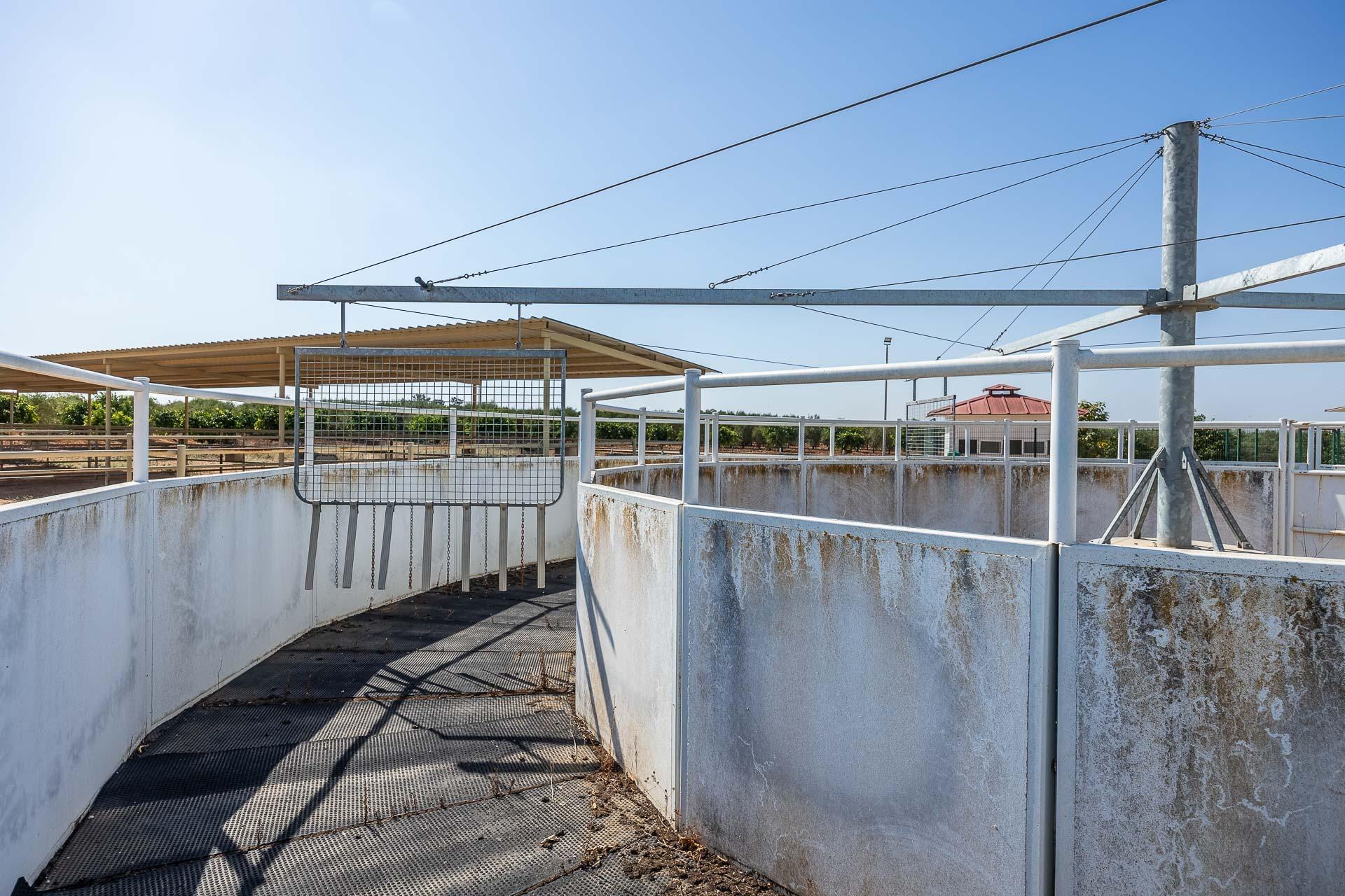 Pisos-Venta-Carmona-1976163-Foto-38