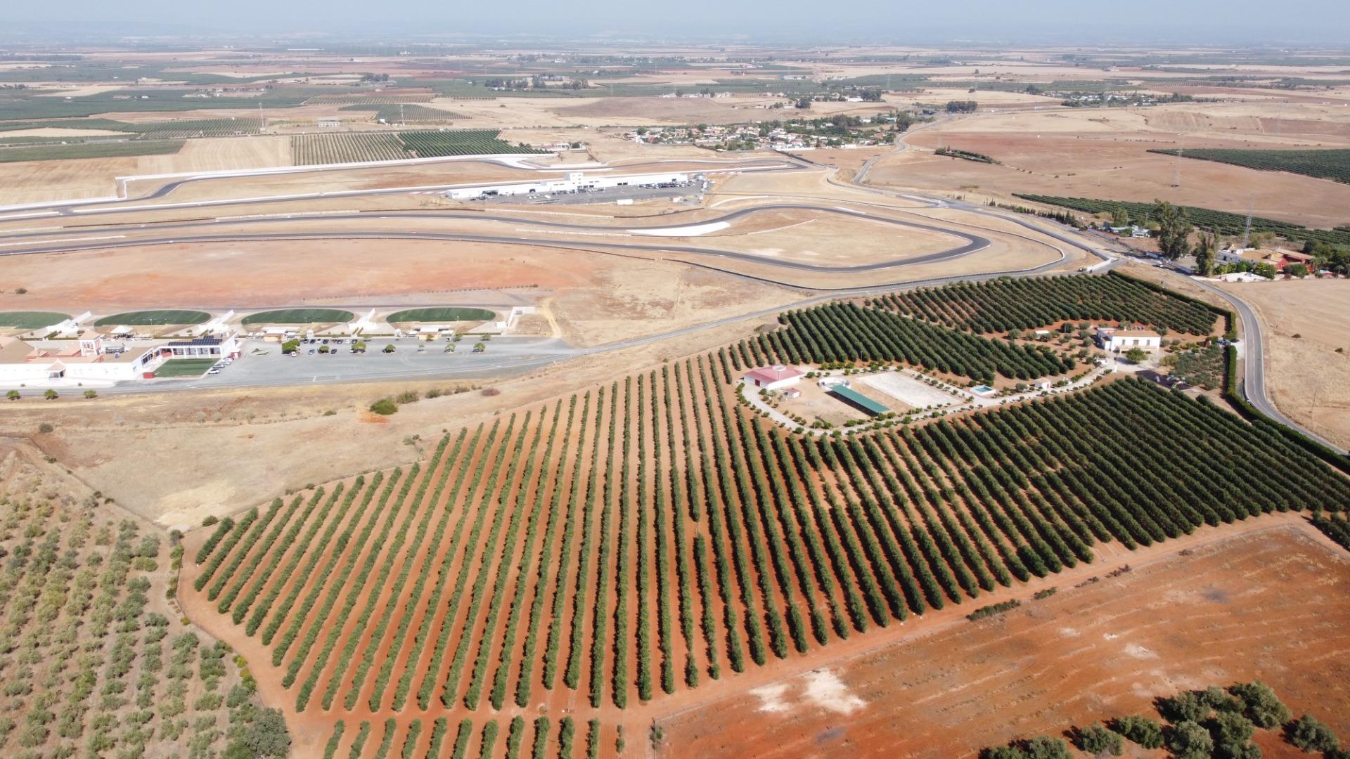 Pisos-Venta-Carmona-1976163-Foto-45