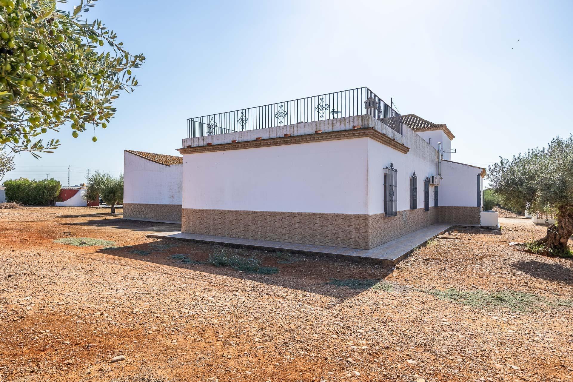 Pisos-Venta-Carmona-1976163-Foto-44