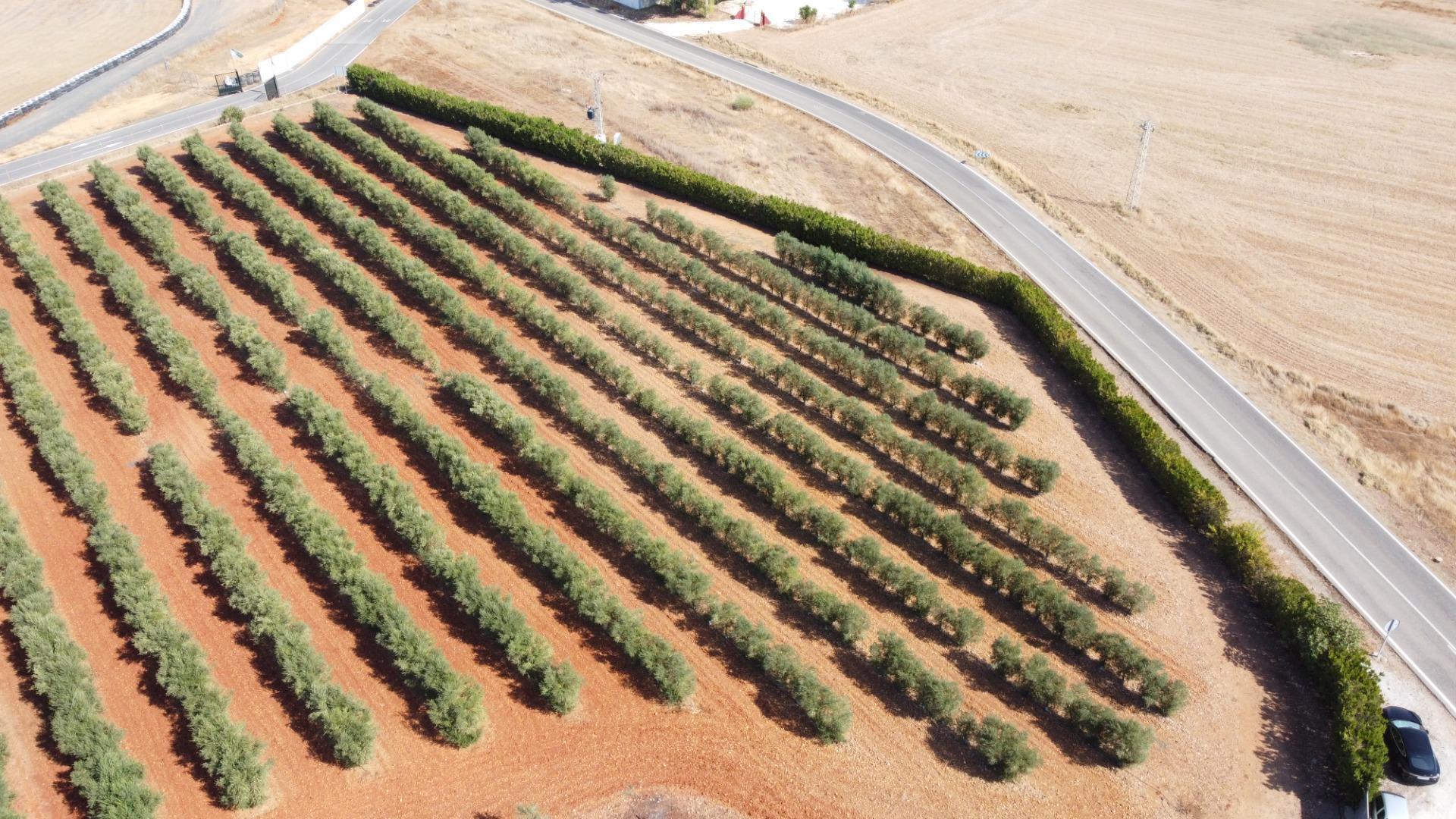 Pisos-Venta-Carmona-1976163-Foto-48