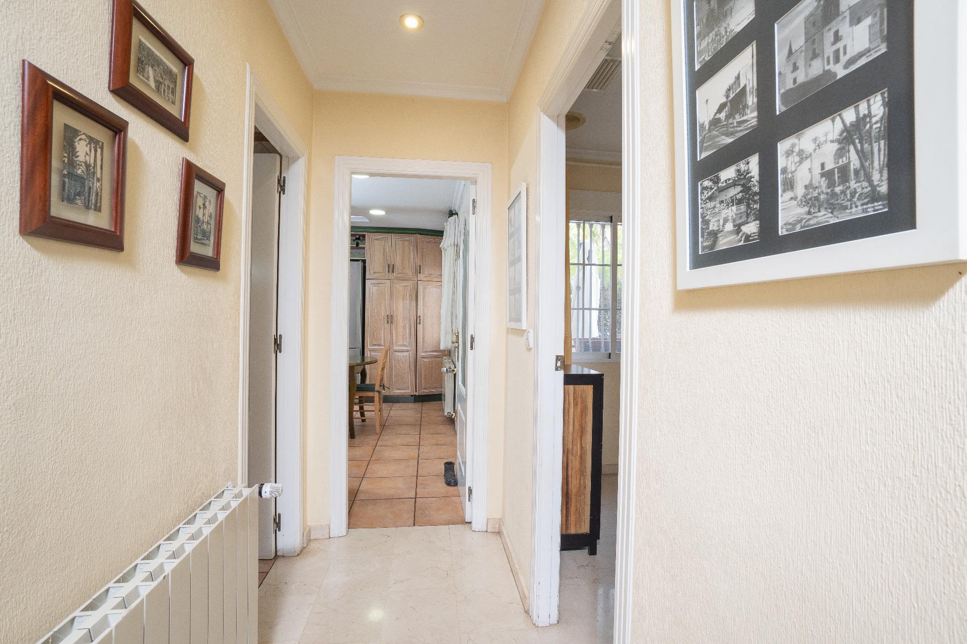 Casas o chalets-Venta-Elche-2091878-Foto-20