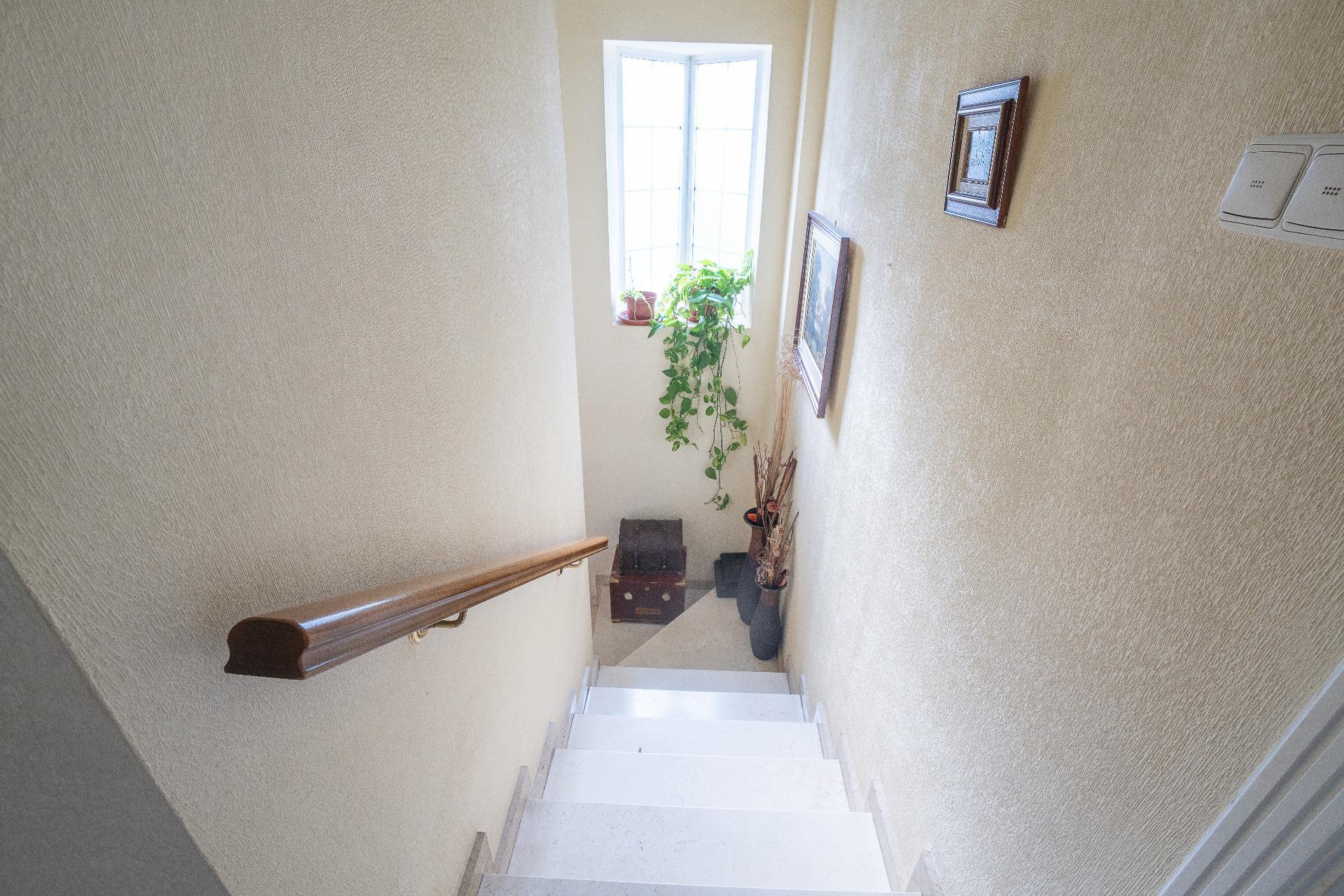 Casas o chalets-Venta-Elche-2091878-Foto-55