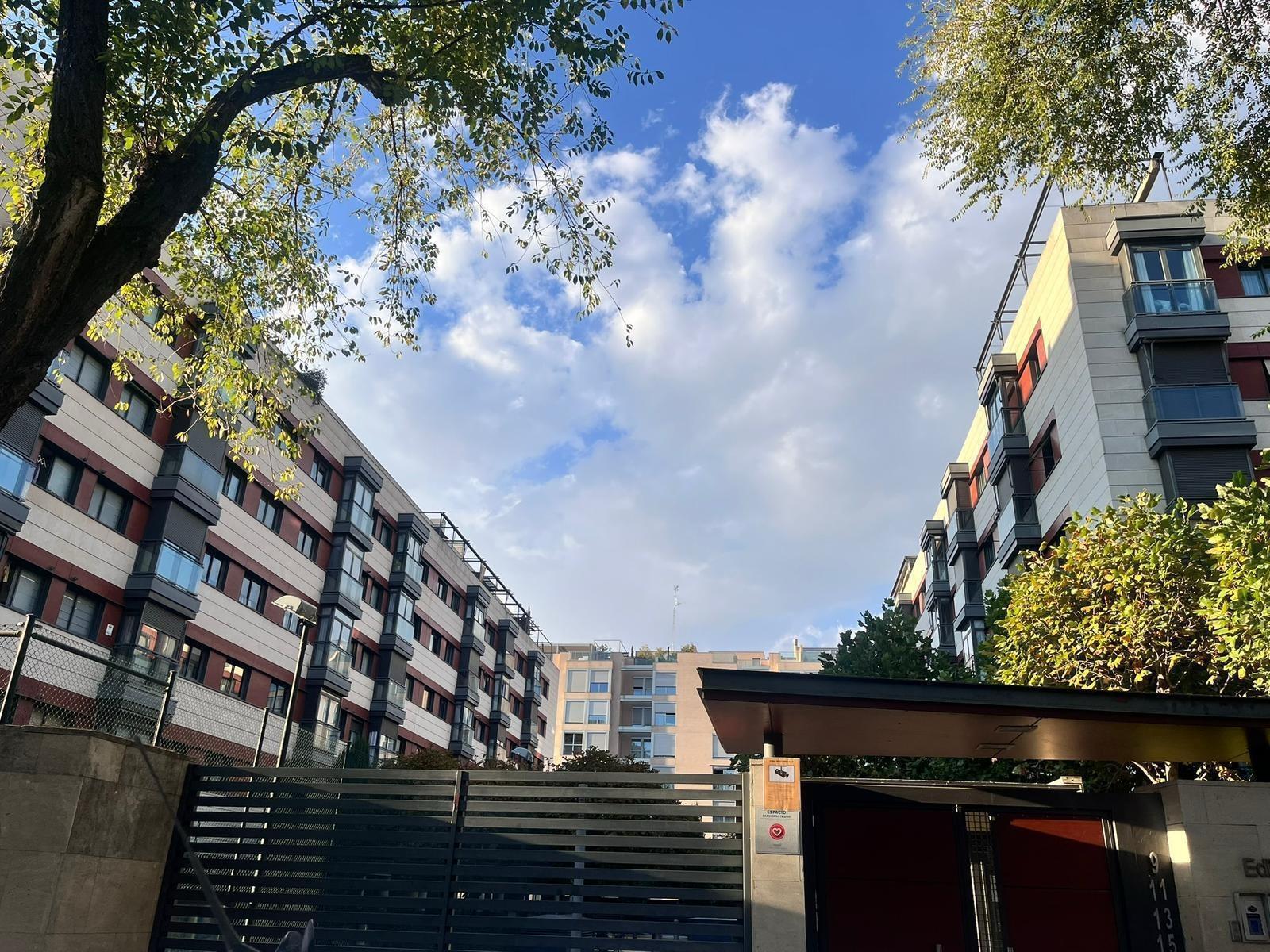 Pisos-Alquiler-Madrid-2087047-Foto-25