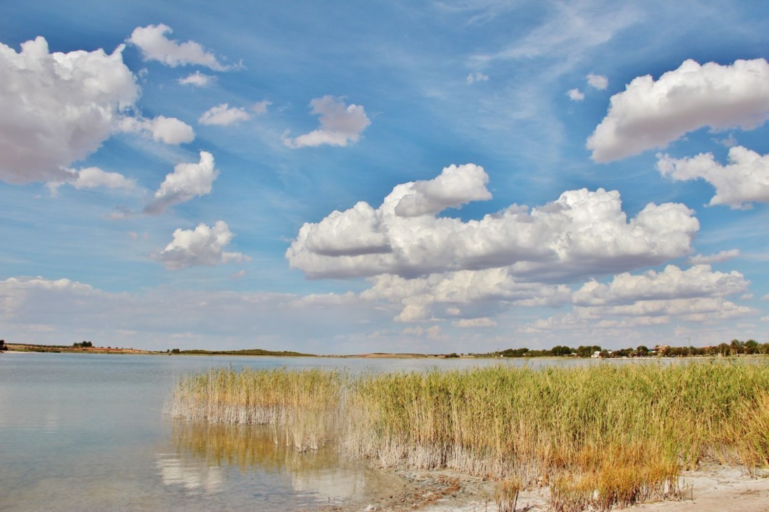 Pisos-Venta-Villafranca de los Caballeros-1021053-Foto-20