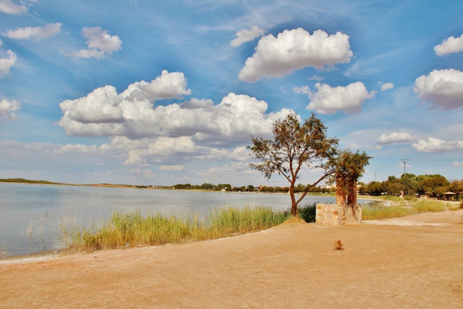 Pisos-Venta-Villafranca de los Caballeros-1021053-Foto-22