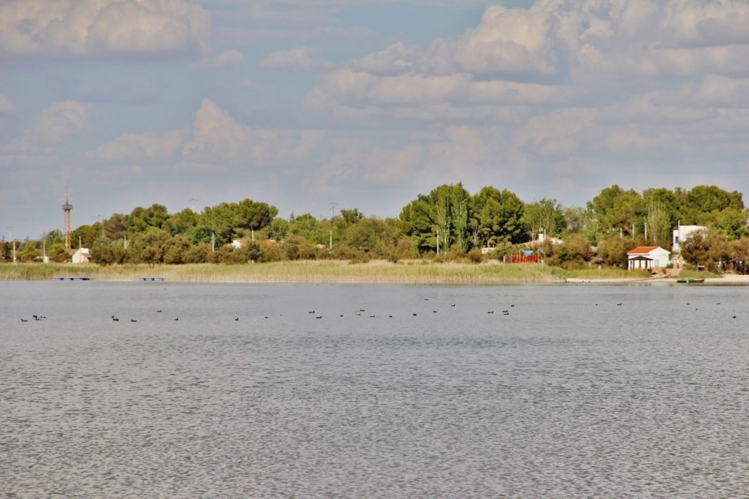 Pisos-Venta-Villafranca de los Caballeros-1021053-Foto-23