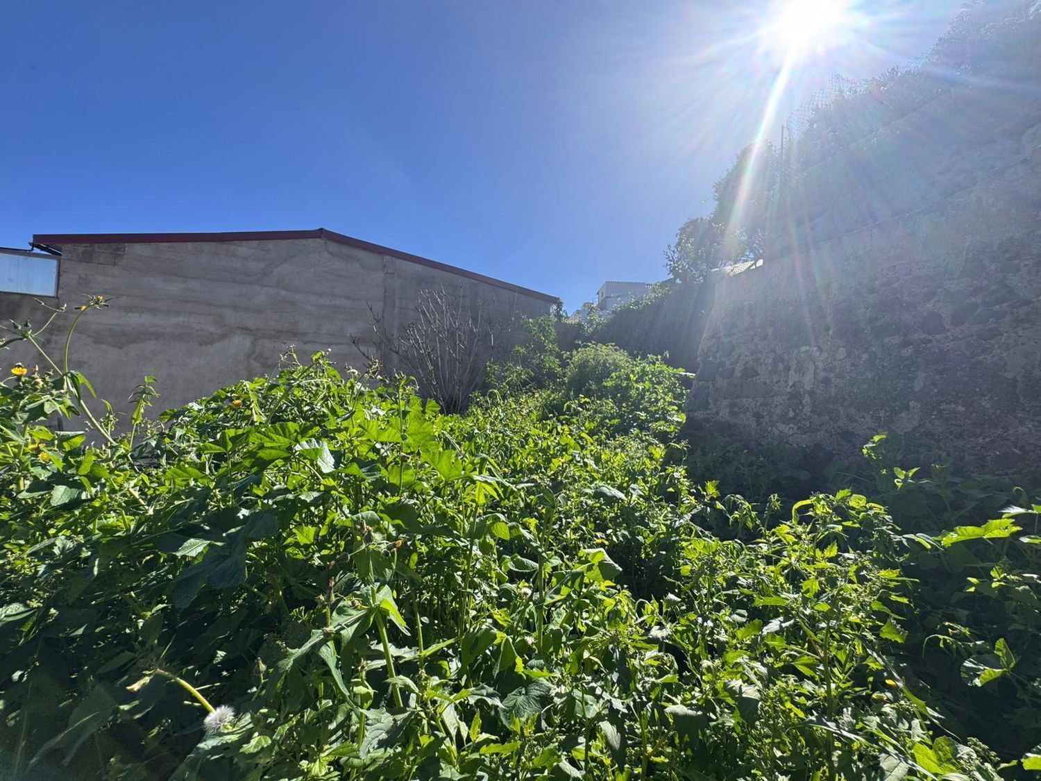 Casas o chalets-Venta-Arucas-2092355-Foto-2