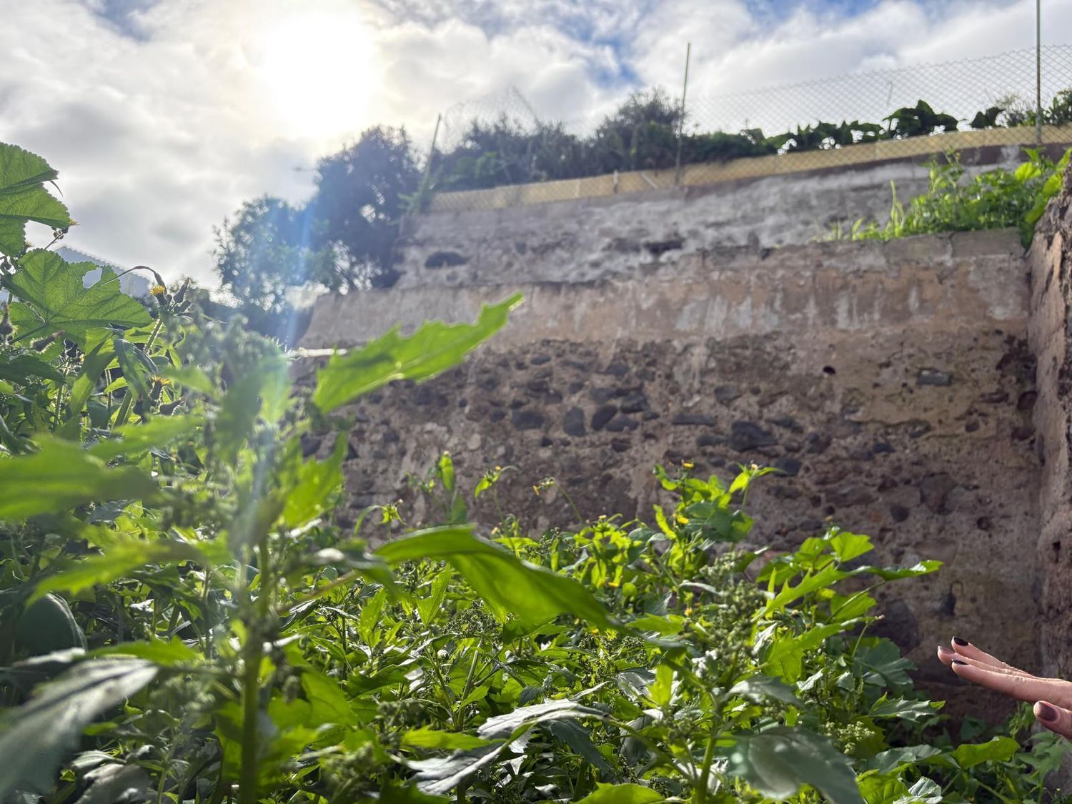 Casas o chalets-Venta-Arucas-2092355-Foto-3