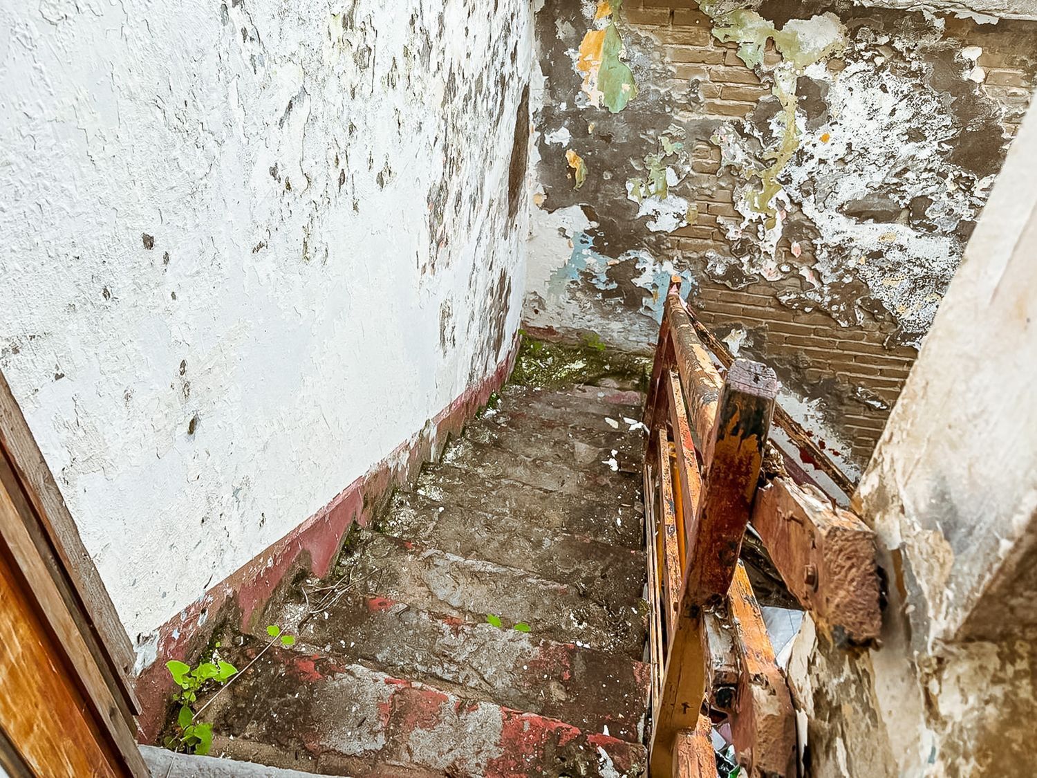 Casas o chalets-Venta-Arucas-2092355-Foto-22