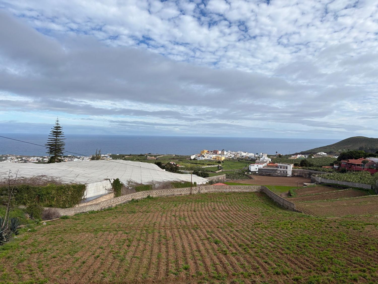 Casas o chalets-Venta-Arucas-2092355-Foto-30