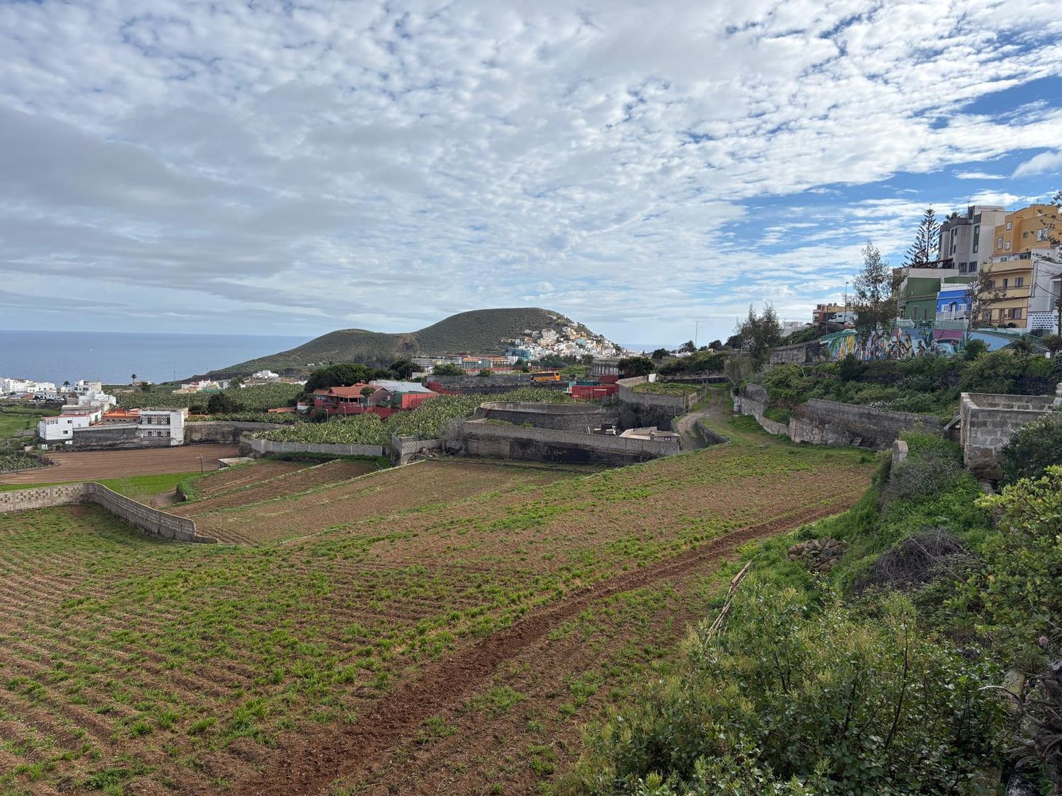 Casas o chalets-Venta-Arucas-2092355-Foto-32