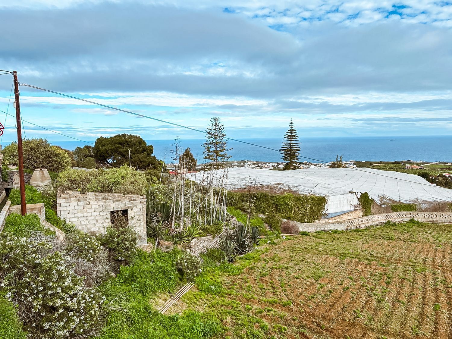 Casas o chalets-Venta-Arucas-2092355-Foto-38