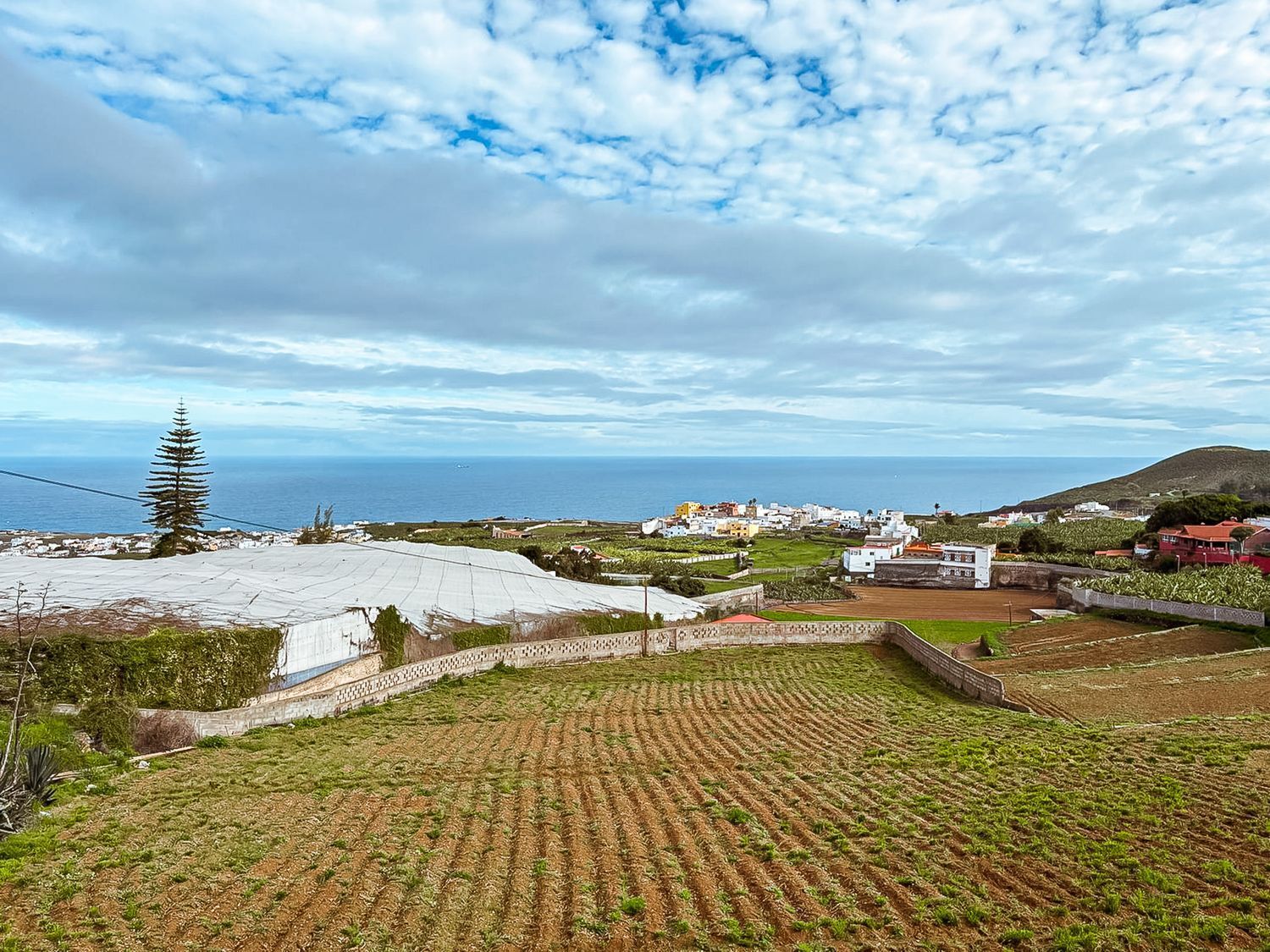 Casas o chalets-Venta-Arucas-2092355-Foto-37