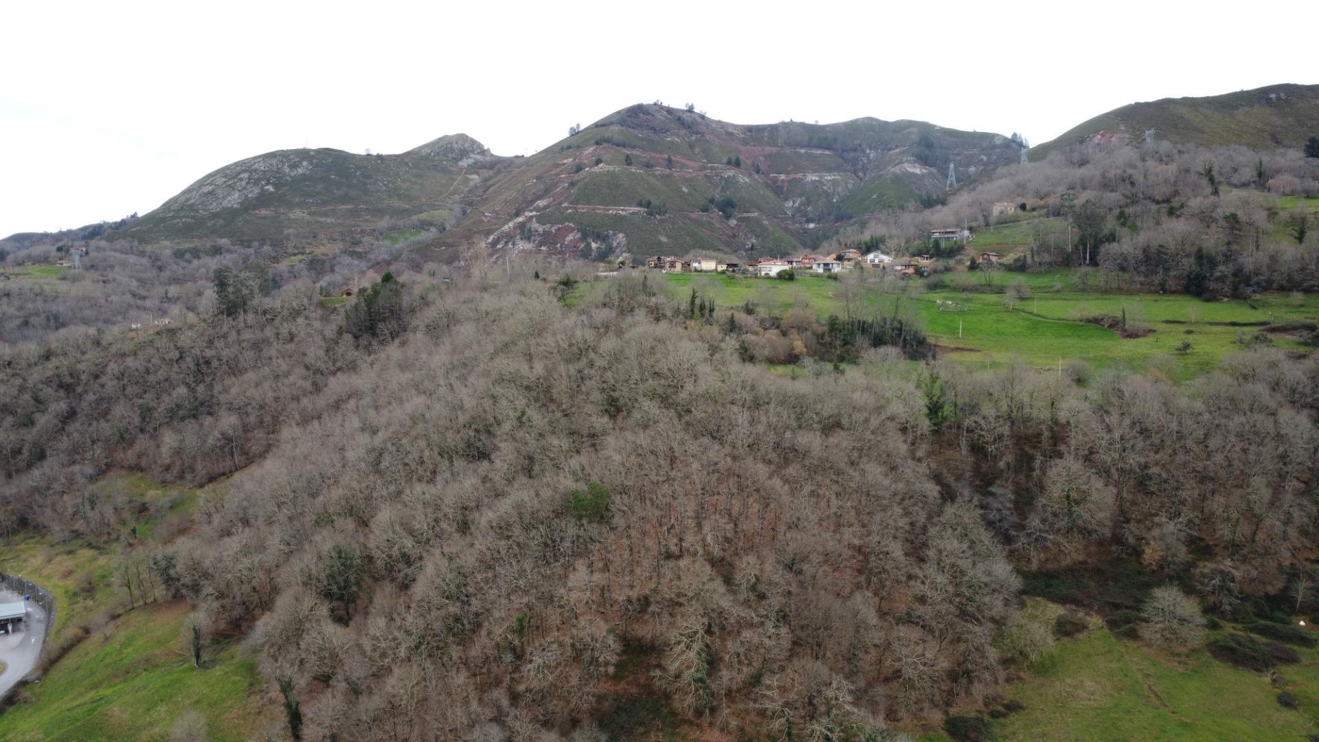 Casas o chalets-Venta-Cangas de OnÃ­s-2092364-Foto-26