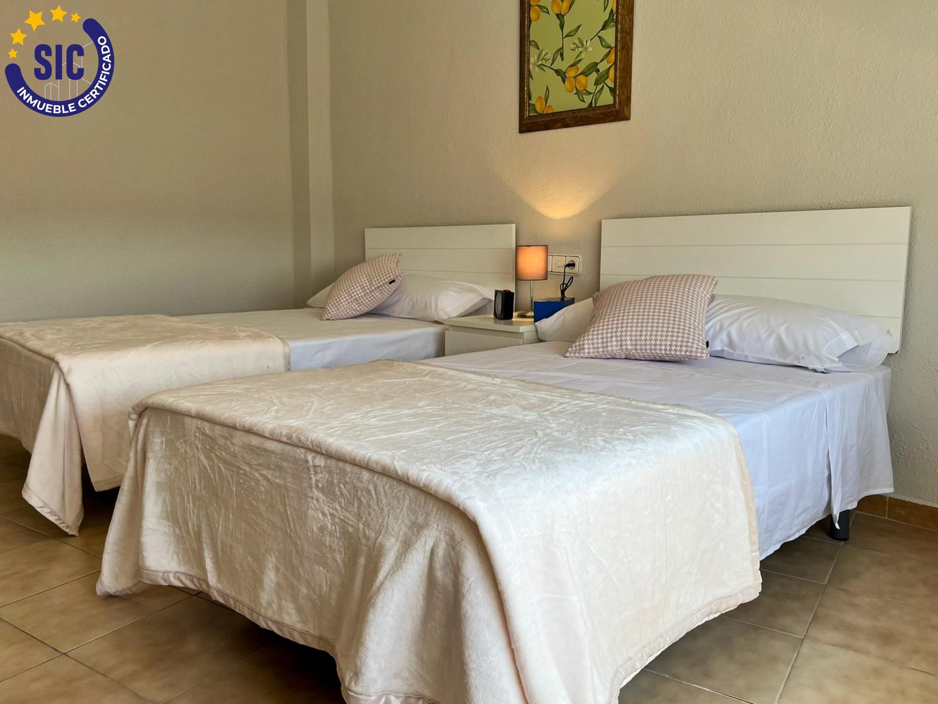 Casas o chalets-Venta-Godelleta-1833753-Foto-19