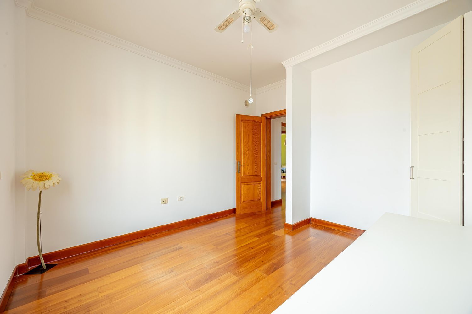 Casas o chalets-Venta-Ingenio-2091812-Foto-32