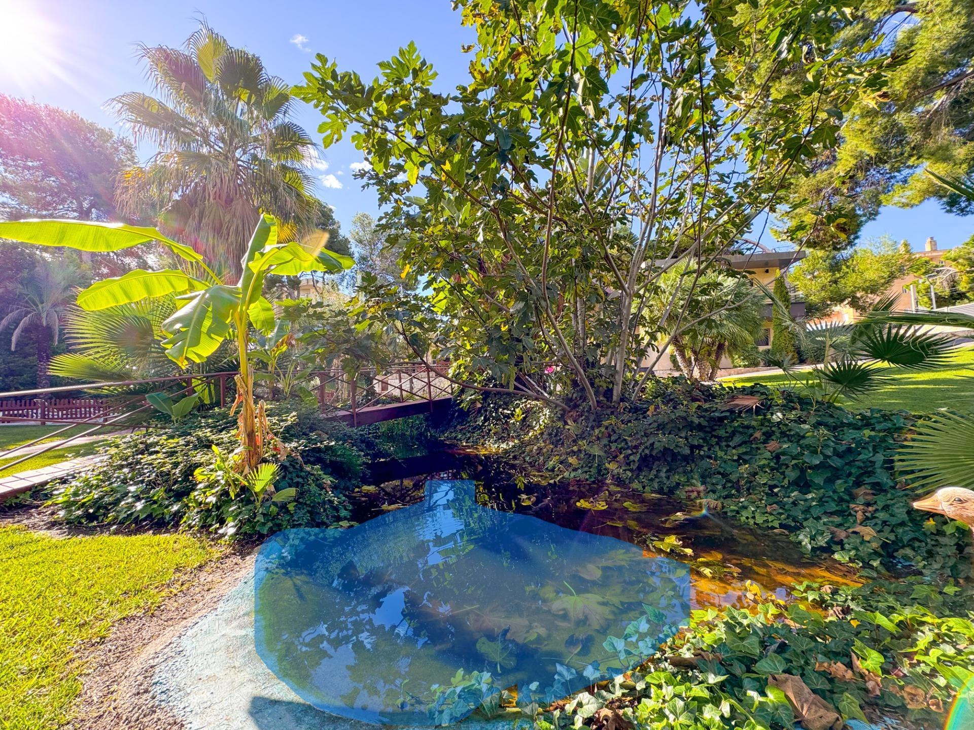 Casas o chalets-Venta-Salou-1424039-Foto-13