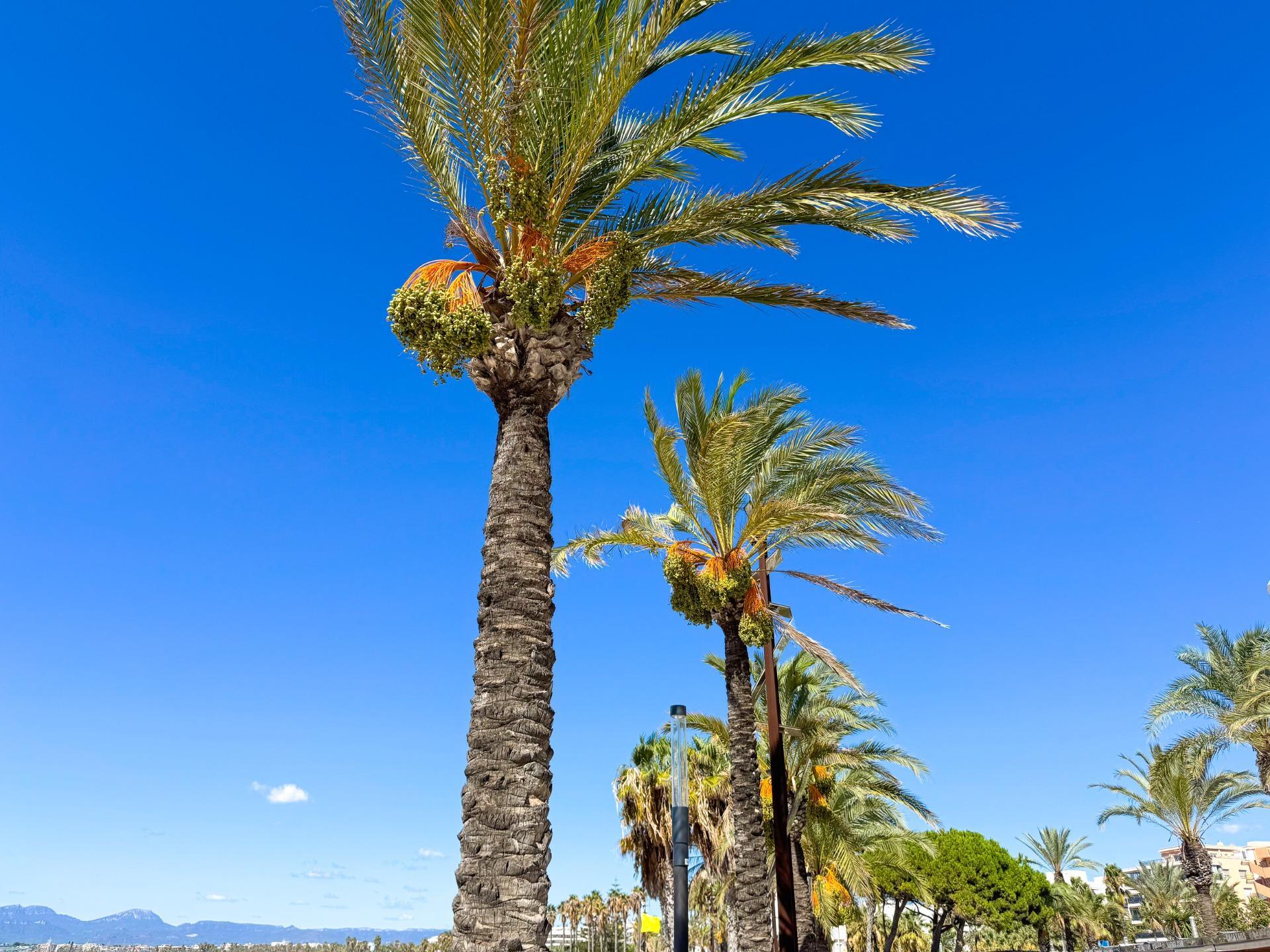 Pisos-Venta-Salou-1840911-Foto-29