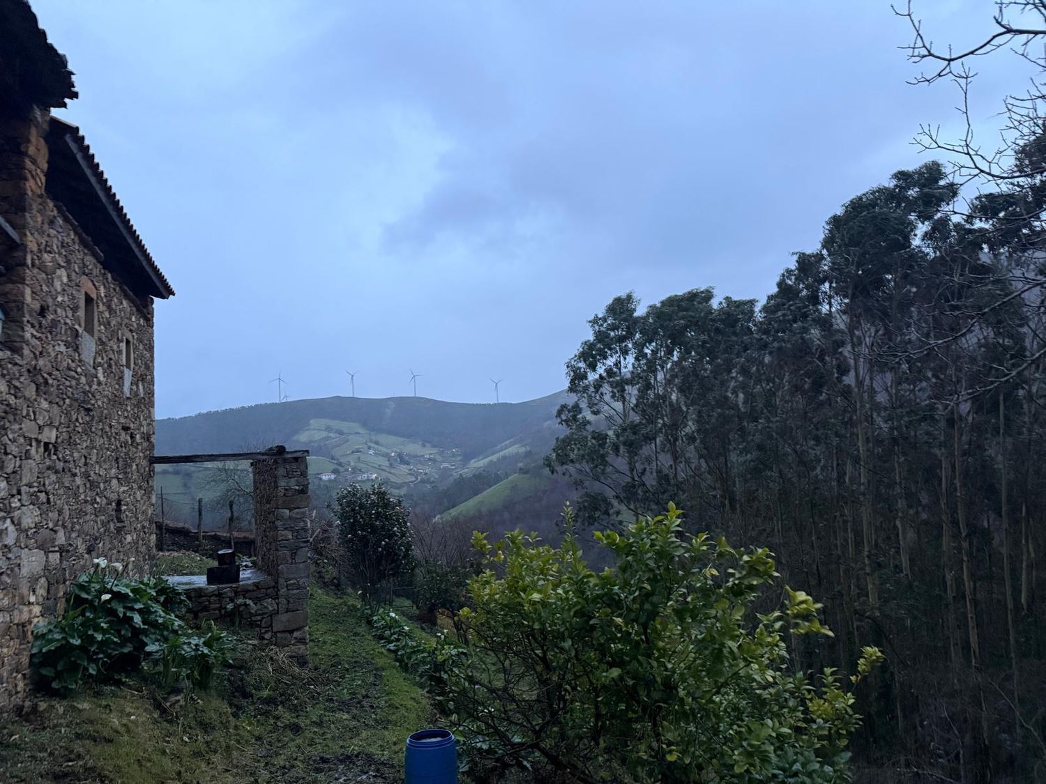 Casas o chalets-Venta-ValdÃ©s-2092385-Foto-12