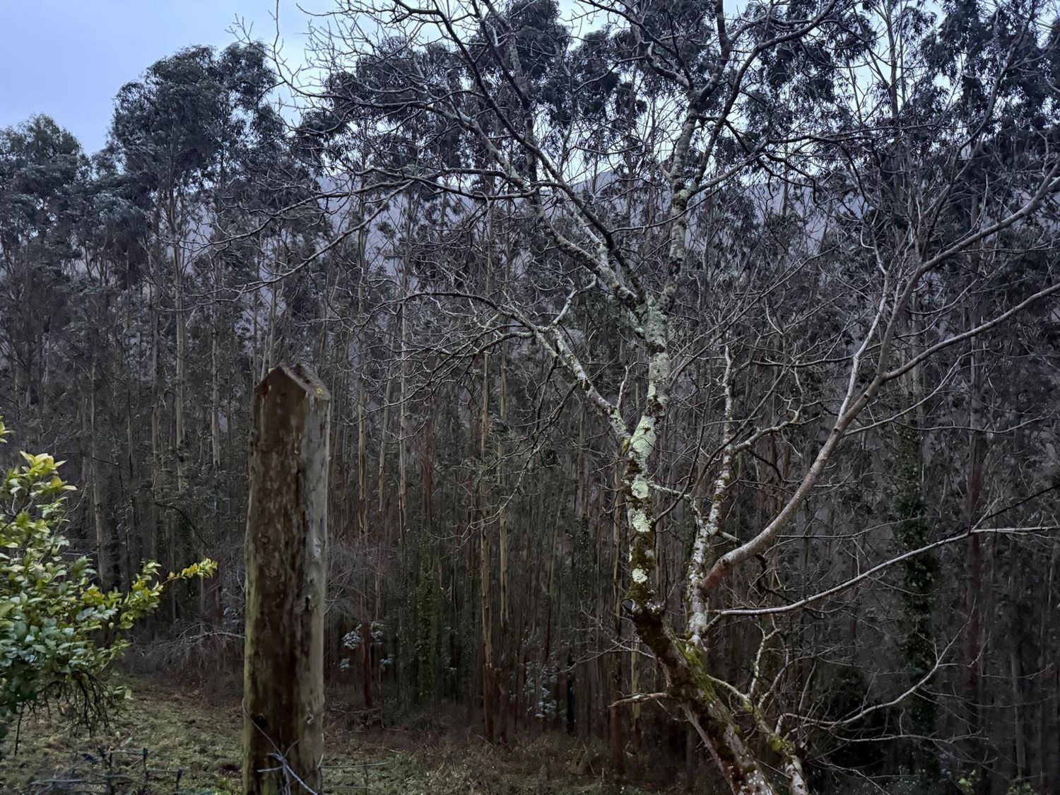 Casas o chalets-Venta-ValdÃ©s-2092385-Foto-13