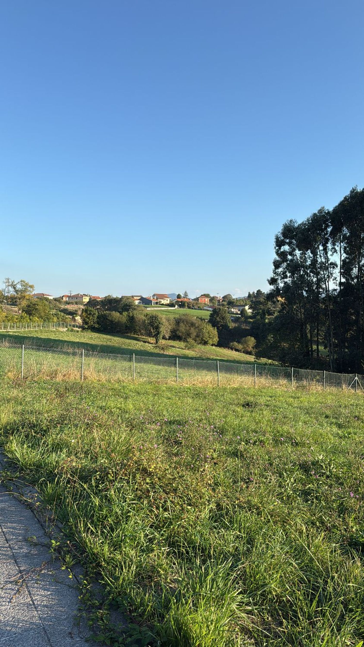 Fincas y solares-Venta-Murcia-1942376-Foto-3