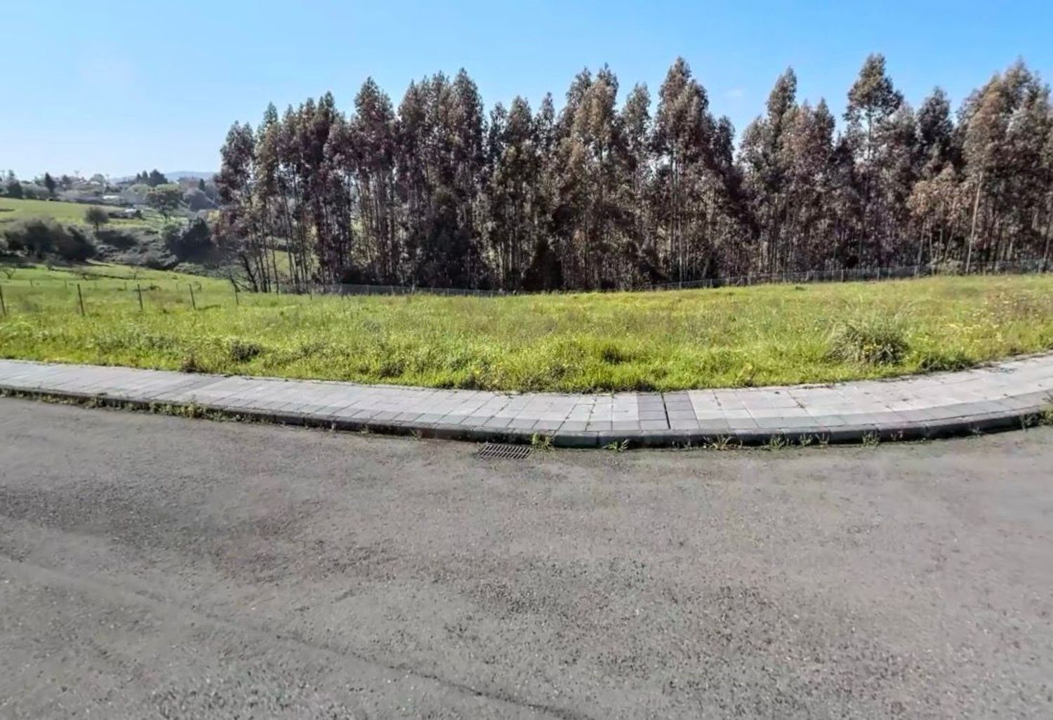 Fincas y solares-Venta-Murcia-1942376-Foto-6