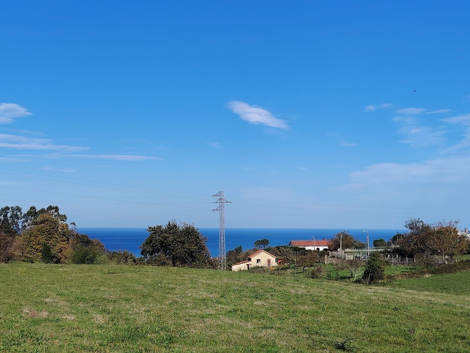 Fincas y solares-Venta-Villaviciosa-1974845-Foto-6