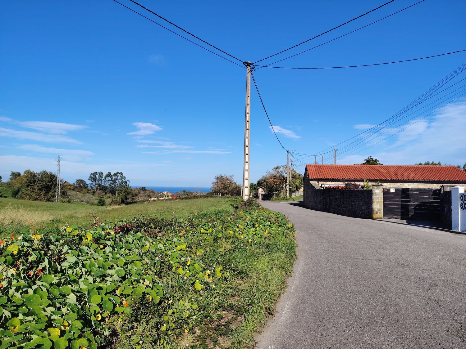 Fincas y solares-Venta-Villaviciosa-1974845-Foto-4