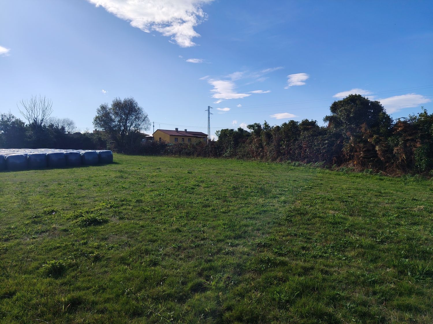 Fincas y solares-Venta-Villaviciosa-1974845-Foto-10