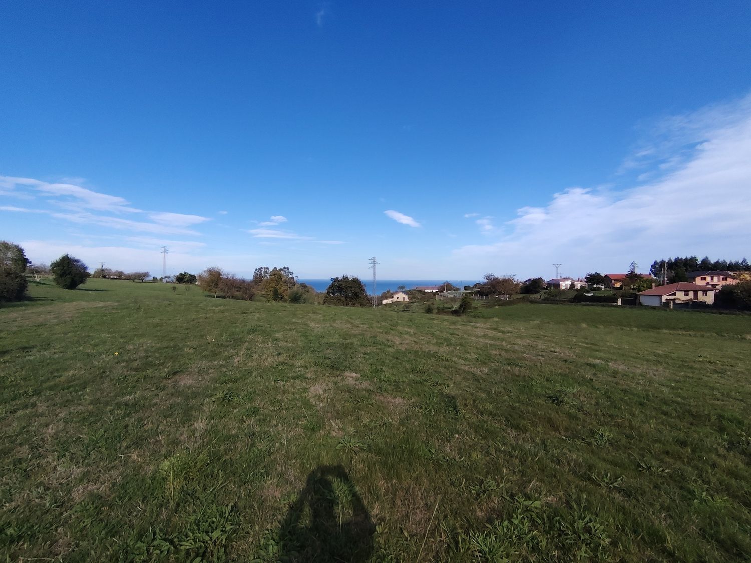 Fincas y solares-Venta-Villaviciosa-1974845-Foto-11